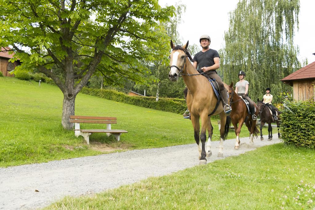 Hotel Muhr Pollauberg ภายนอก รูปภาพ
